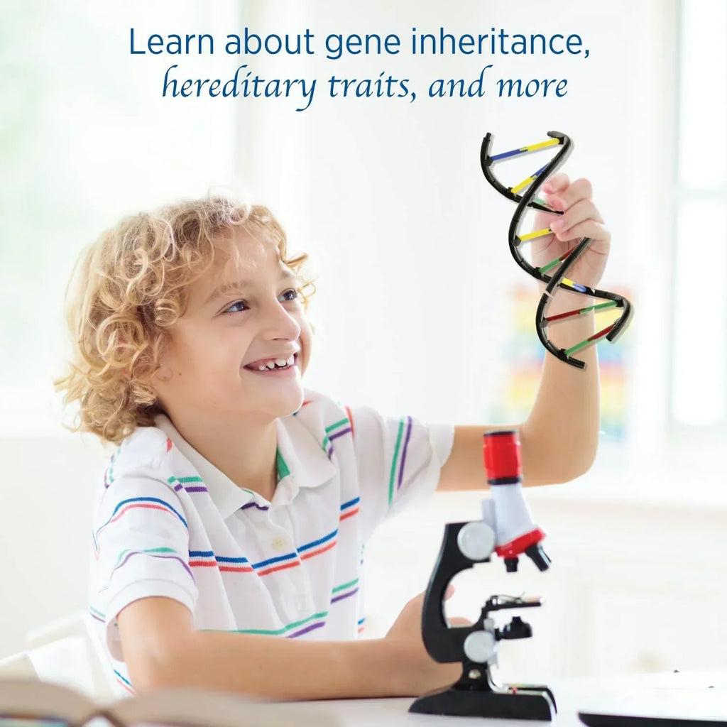 Smiling child explores a DNA model and microscope, promoting STEM learning and science toys.