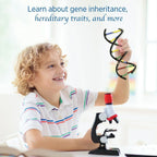 Smiling child explores a DNA model and microscope, promoting STEM learning and science toys.