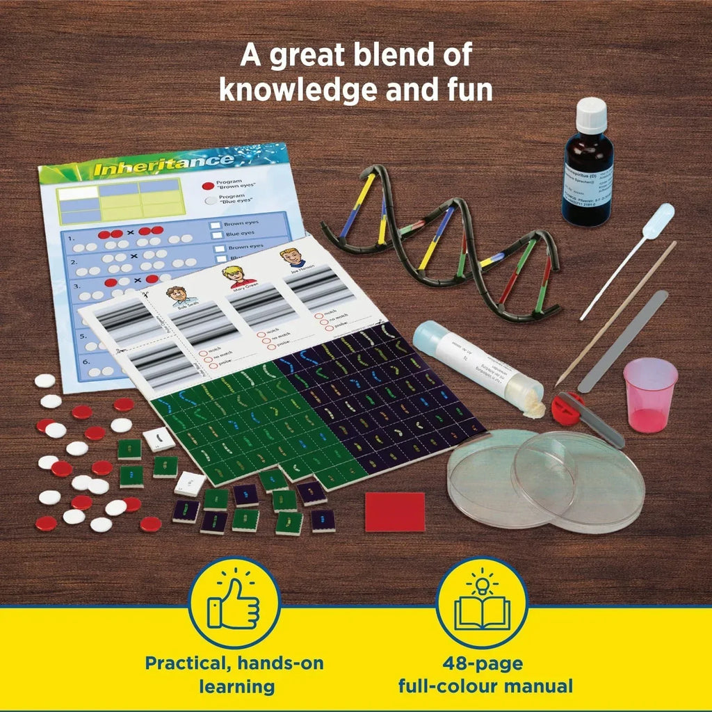 STEM genetics kit with DNA model, experiment tools, charts, and hands-on learning materials