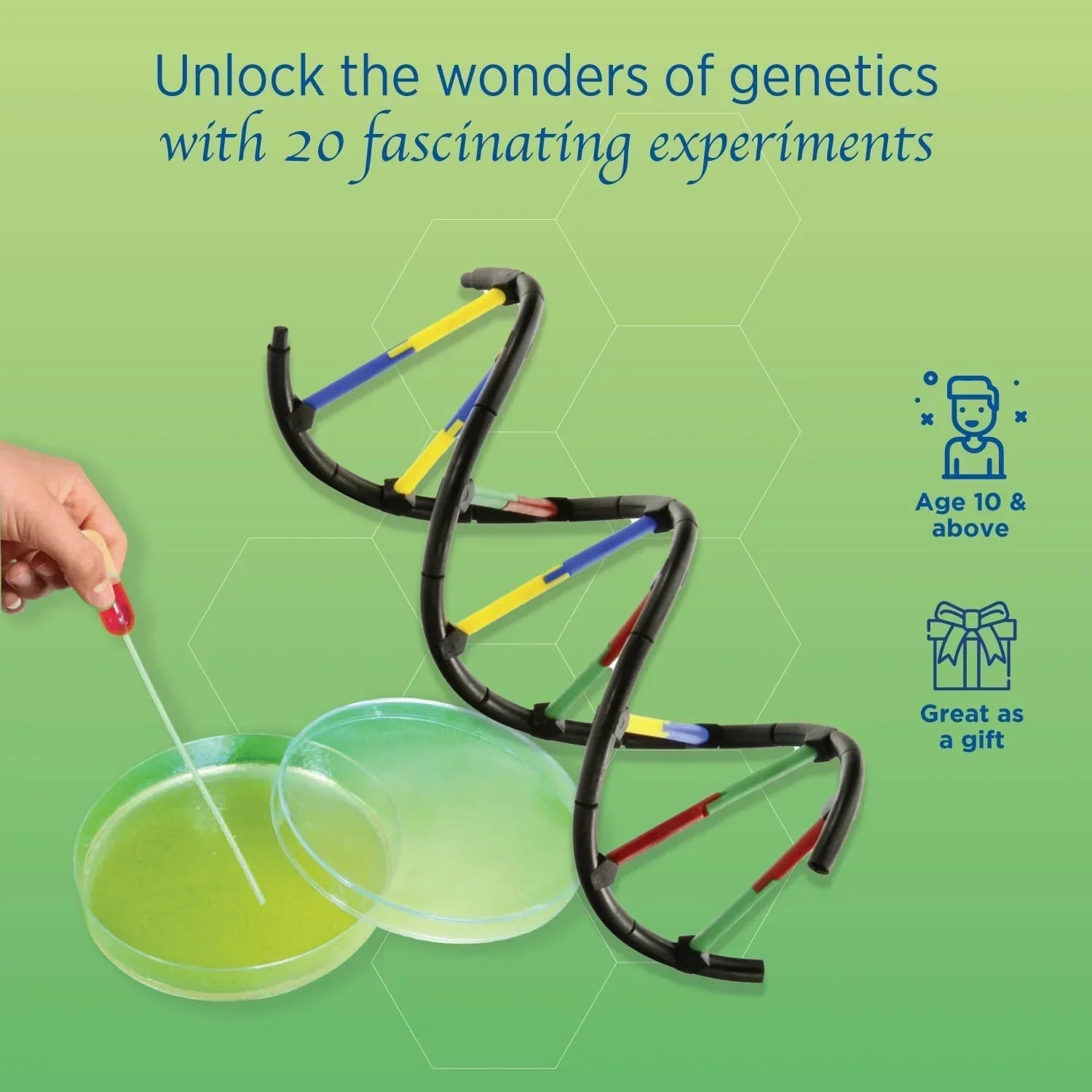 STEM genetics kit with a DNA model, petri dish, and pipette for science experiments, ages 10+