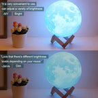 Moon lamp night light on wooden stand with adjustable brightness beside a flower pot.