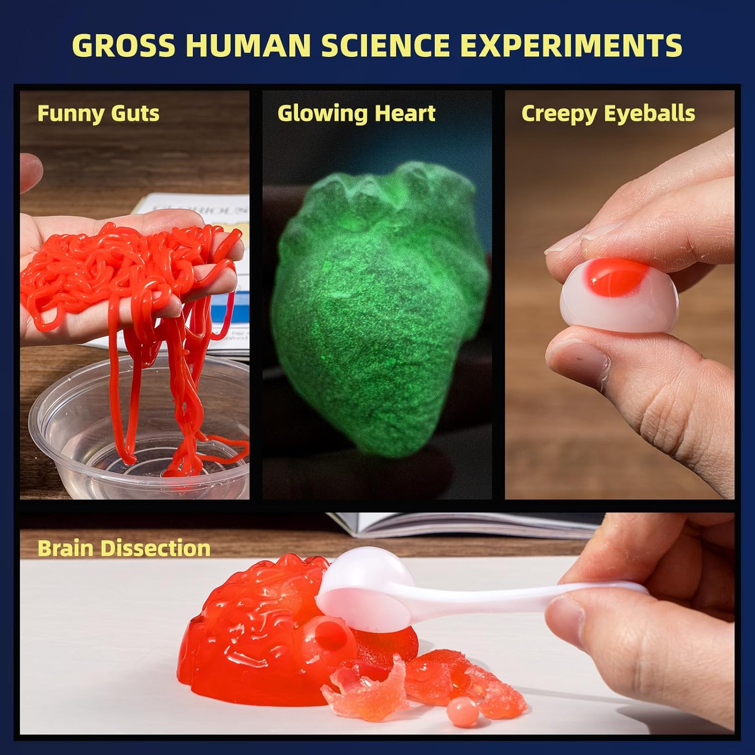 STEM science kit for kids featuring funny guts, glowing heart, creepy eyeballs, and brain dissection experiments.
