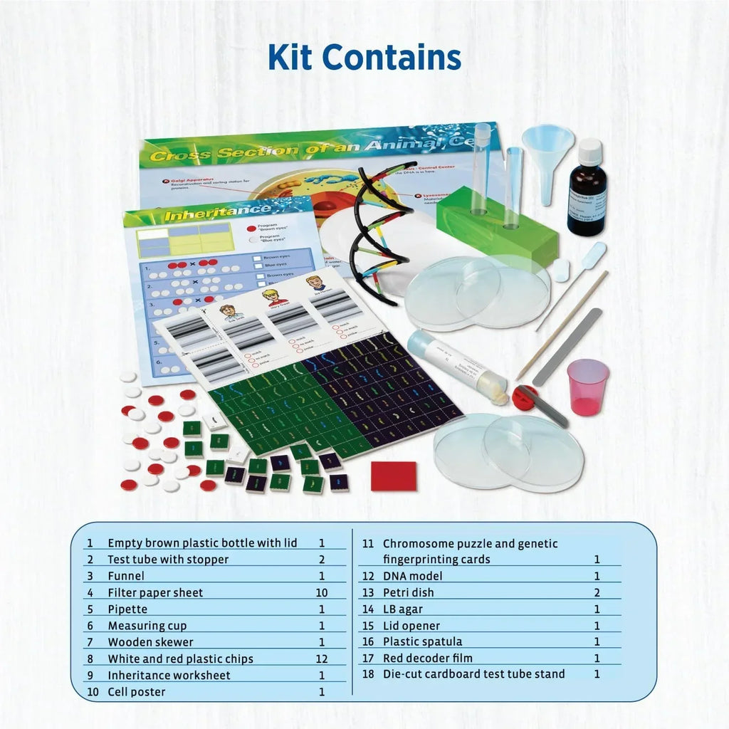 STEM science kit with DNA model, lab tools, genetic worksheets, and petri dishes for kids