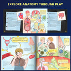 Children’s anatomy book pages with organ illustrations, kids learning about heart, bowel, bacteria, STEM