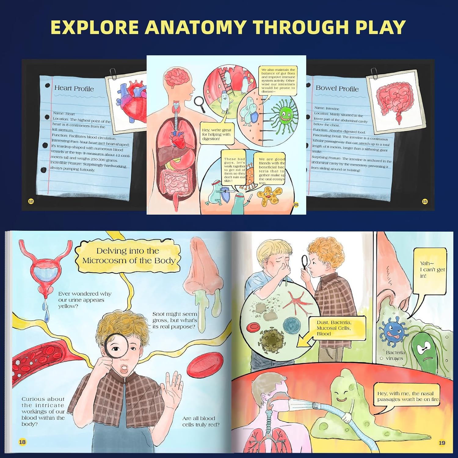 Children’s anatomy book pages with organ illustrations, kids learning about heart, bowel, bacteria, STEM