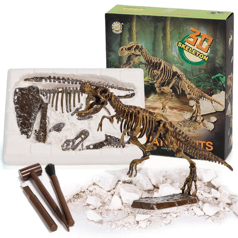 Dinosaur skeleton excavation kit with tools, toy fossils, and 3D T-rex model for kids