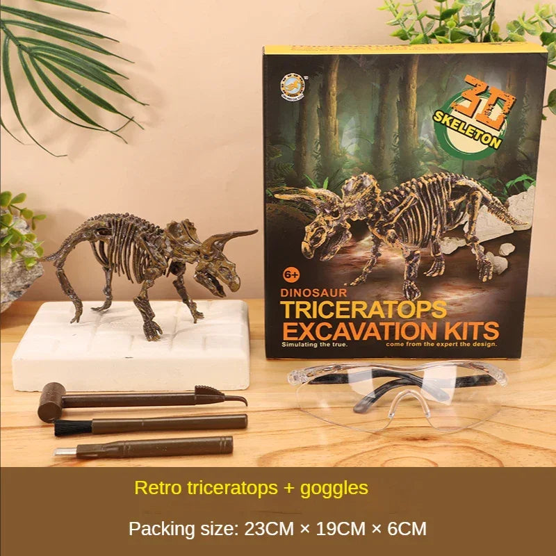 Dinosaur triceratops skeleton excavation kit with tools, goggles, and display box.