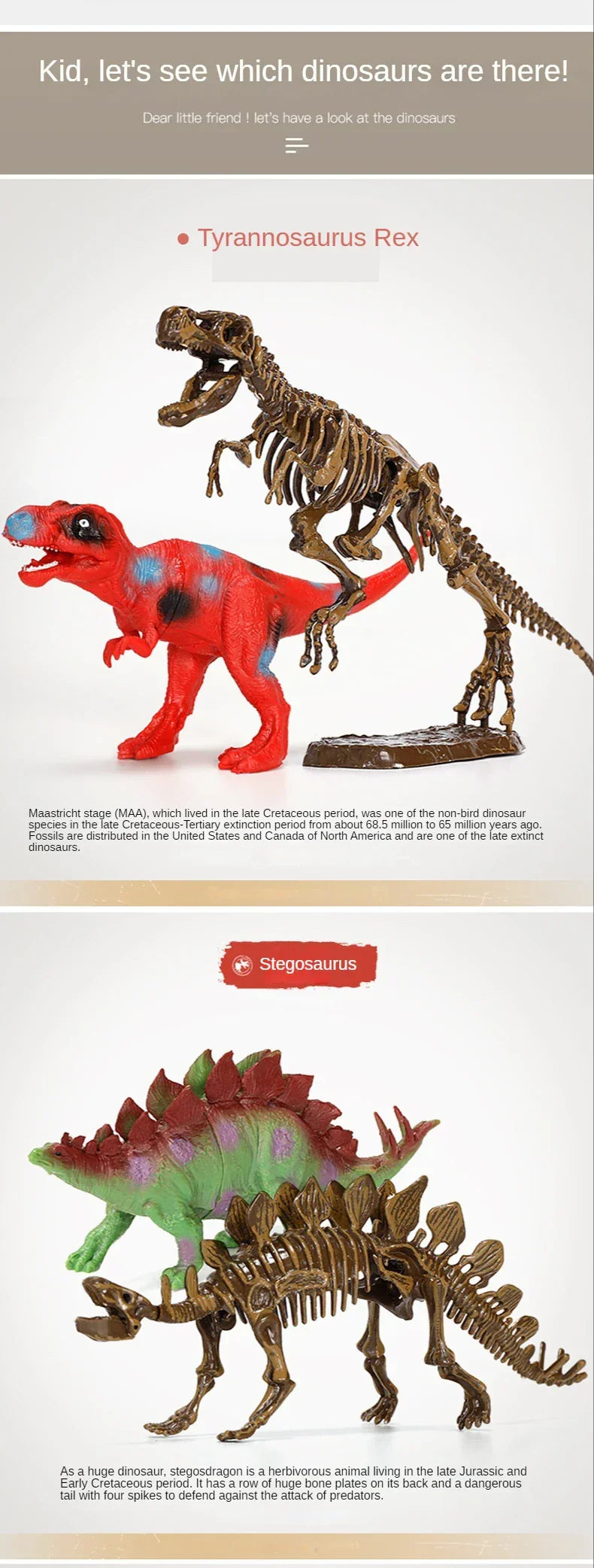 Colorful Tyrannosaurus Rex and Stegosaurus dinosaur toys with matching skeleton models