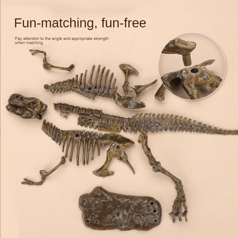 Dinosaur fossil model assembly kit with realistic plastic bones displayed on beige background.
