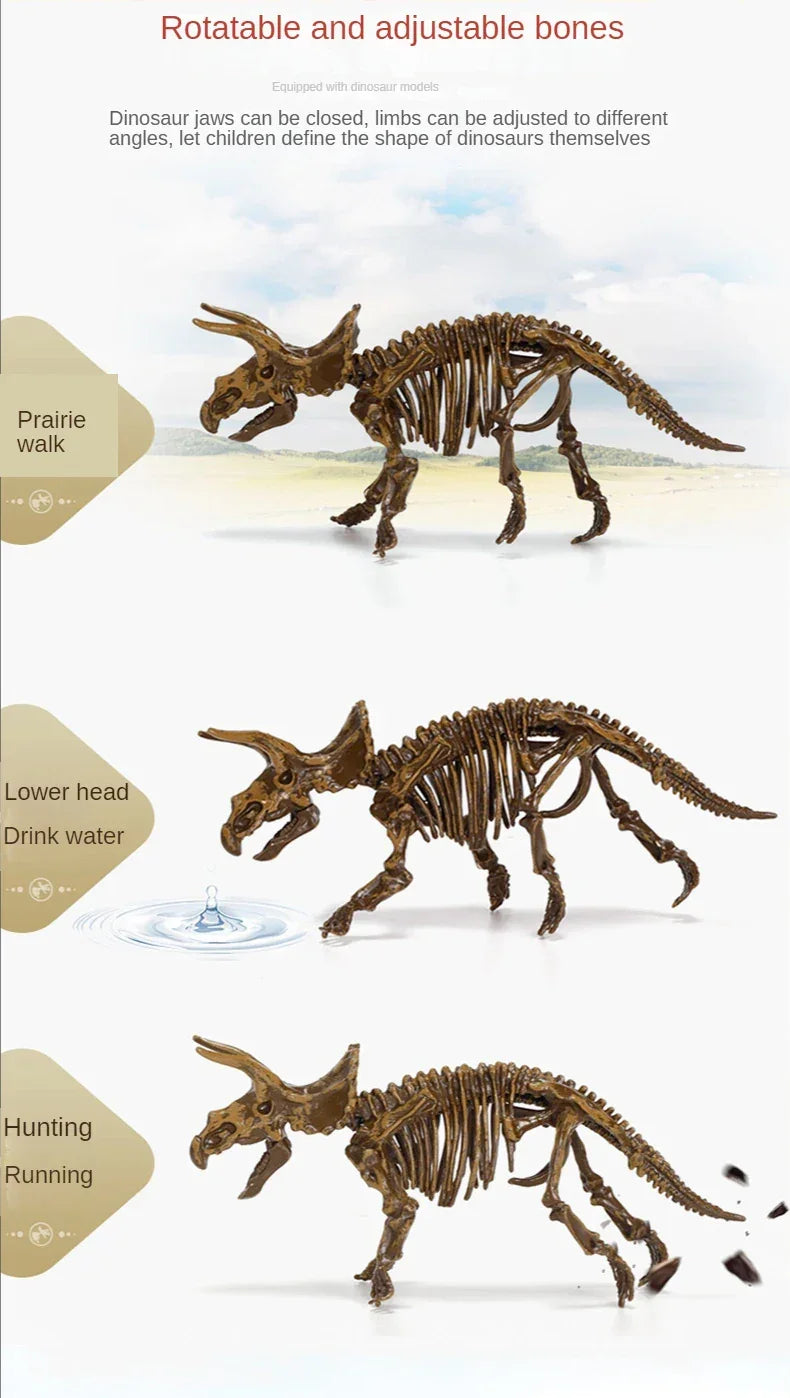 Adjustable dinosaur skeleton toy model showing rotatable limbs for walking, drinking, and running poses.