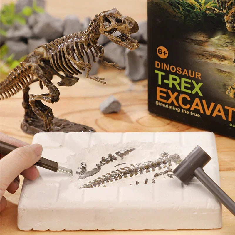 Kids T-Rex dinosaur excavation kit with tools, fossil dig toy, dinosaur skeleton model